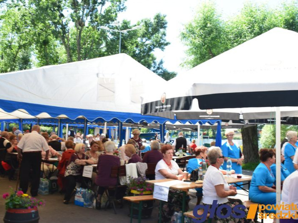 Seniorzy też śpiewają  [ZDJĘCIA]