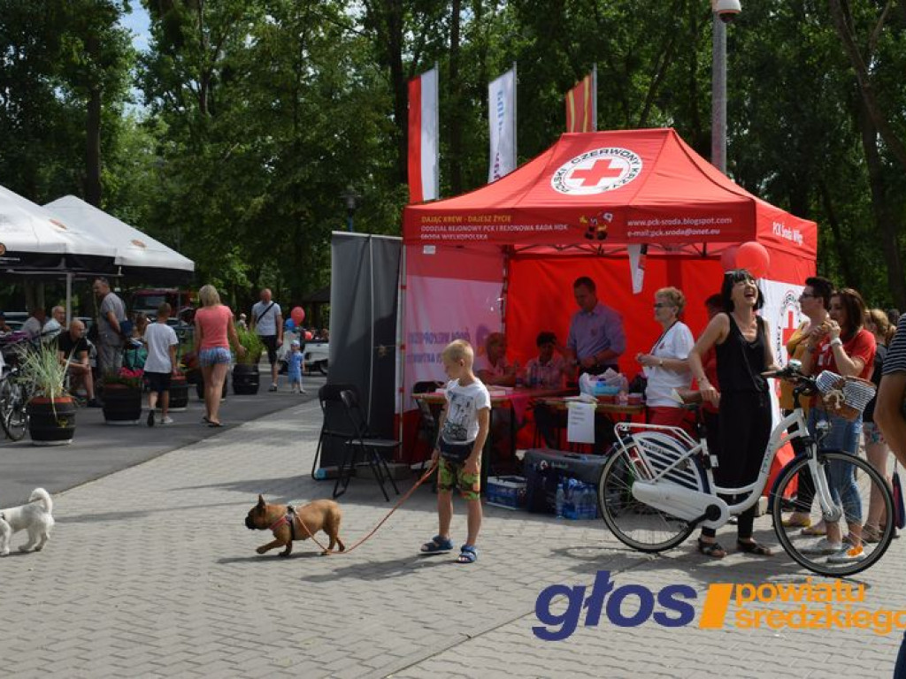 Rodzinny piknik krwiodawców  [ZDJĘCIA]