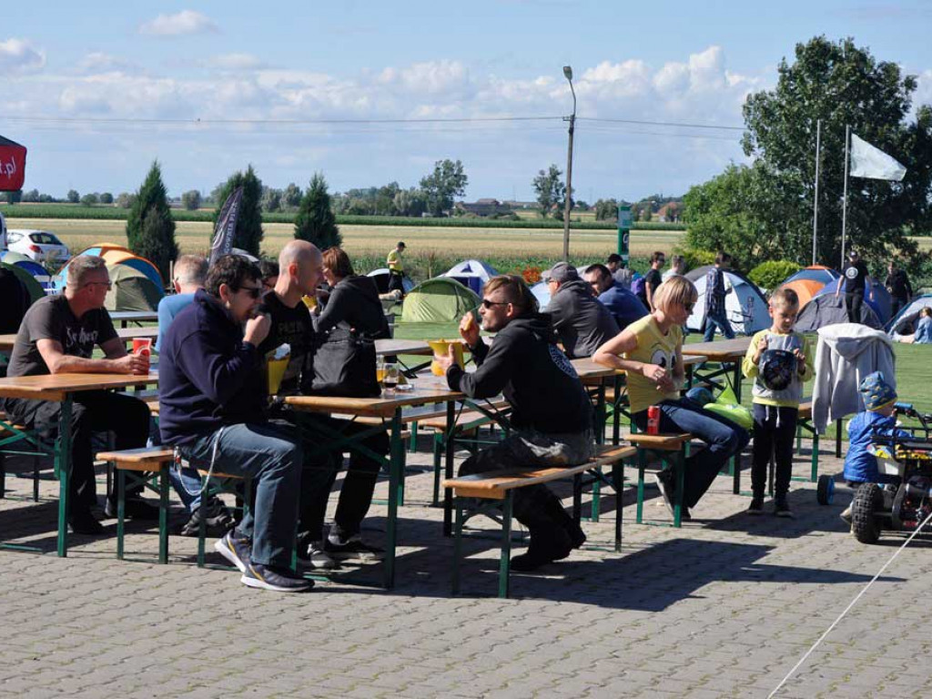 Annopole festiwalowe