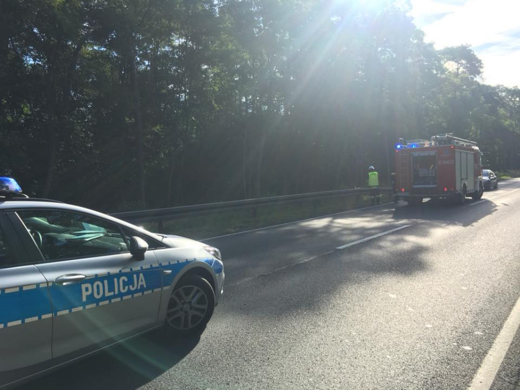 Nie żyją 11-latka i 50-latek