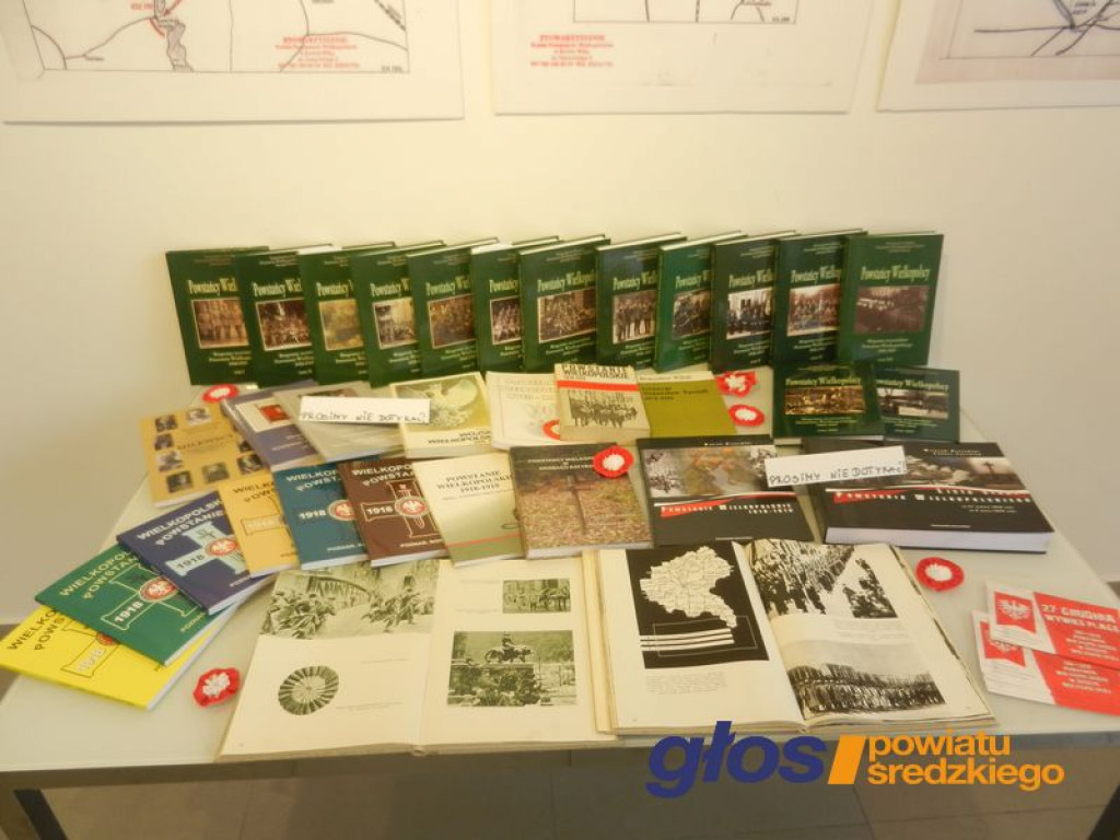 Ku pamięci powstańców wielkopolskich [ZDJĘCIA]