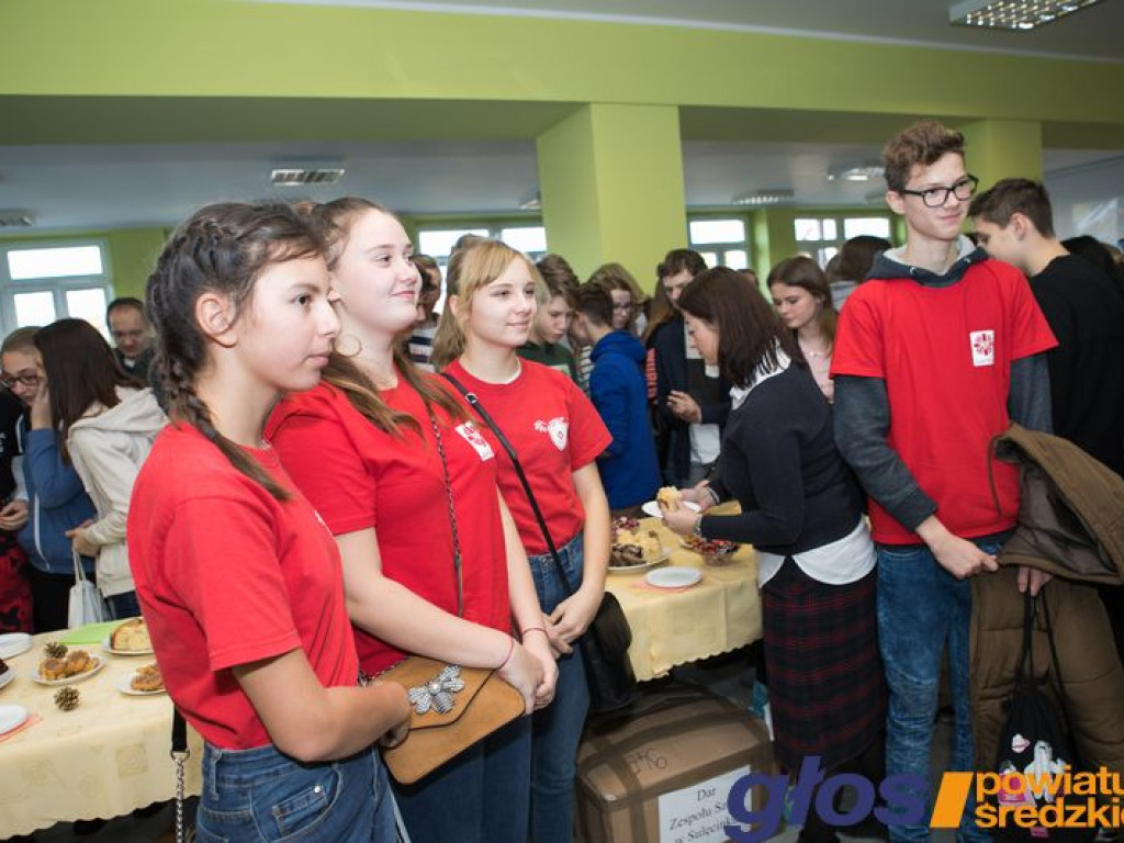 Międzyszkolny Dzień Wolontariusza [ZDJĘCIA]