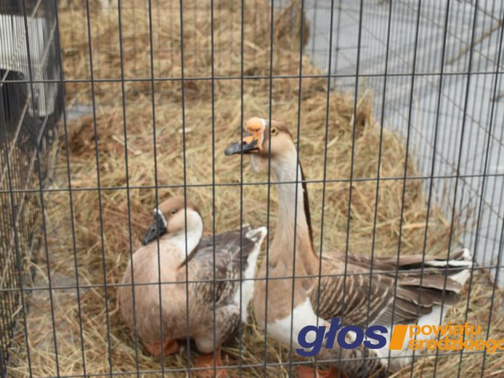 Kiermasz Wielkanocny [ZDJĘCIA]