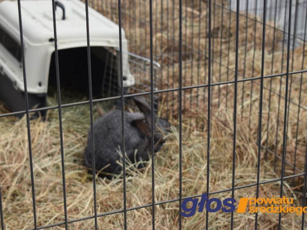 Kiermasz Wielkanocny [ZDJĘCIA]