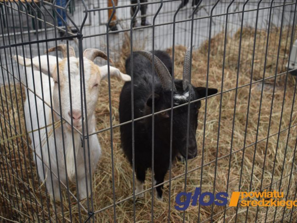 Kiermasz Wielkanocny [ZDJĘCIA]