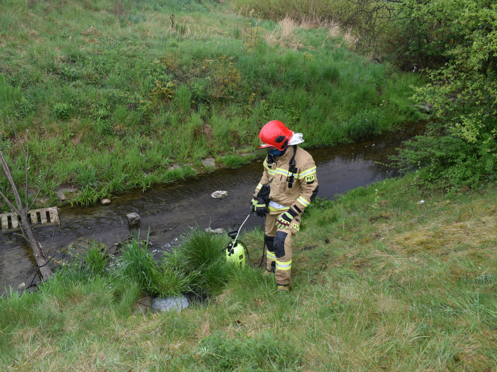 Środa: Interweniowali przy zanieczyszczonej Moskawie