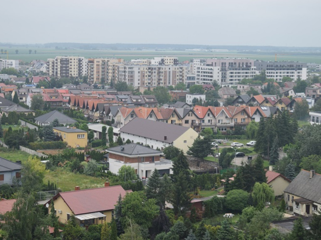 Środa: Zobaczcie miasto z wieży kolegiackiej!