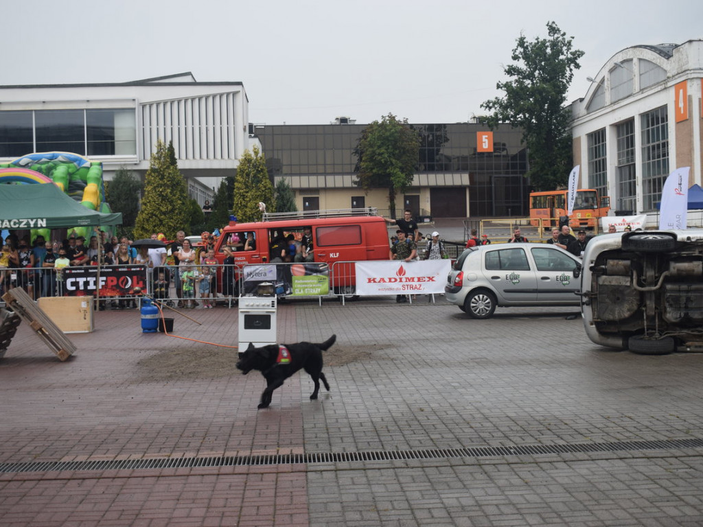 Poznań: Silna reprezentacja naszego powiatu