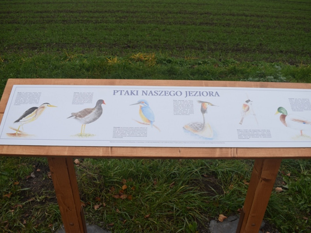 Jak dobrze znasz Jezioro Średzkie?