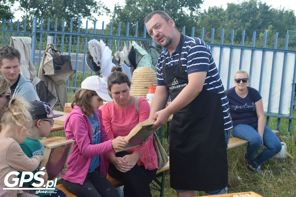 Polski Dzień Pszczoły w Średzkiej Pasiecie