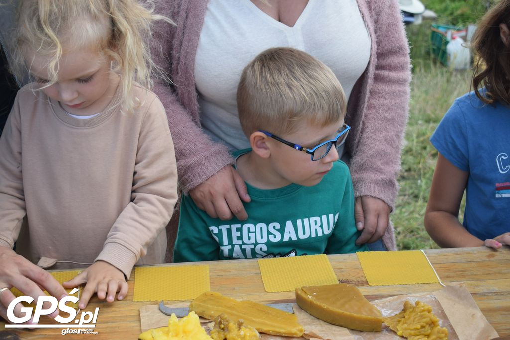 Polski Dzień Pszczoły w Średzkiej Pasiecie