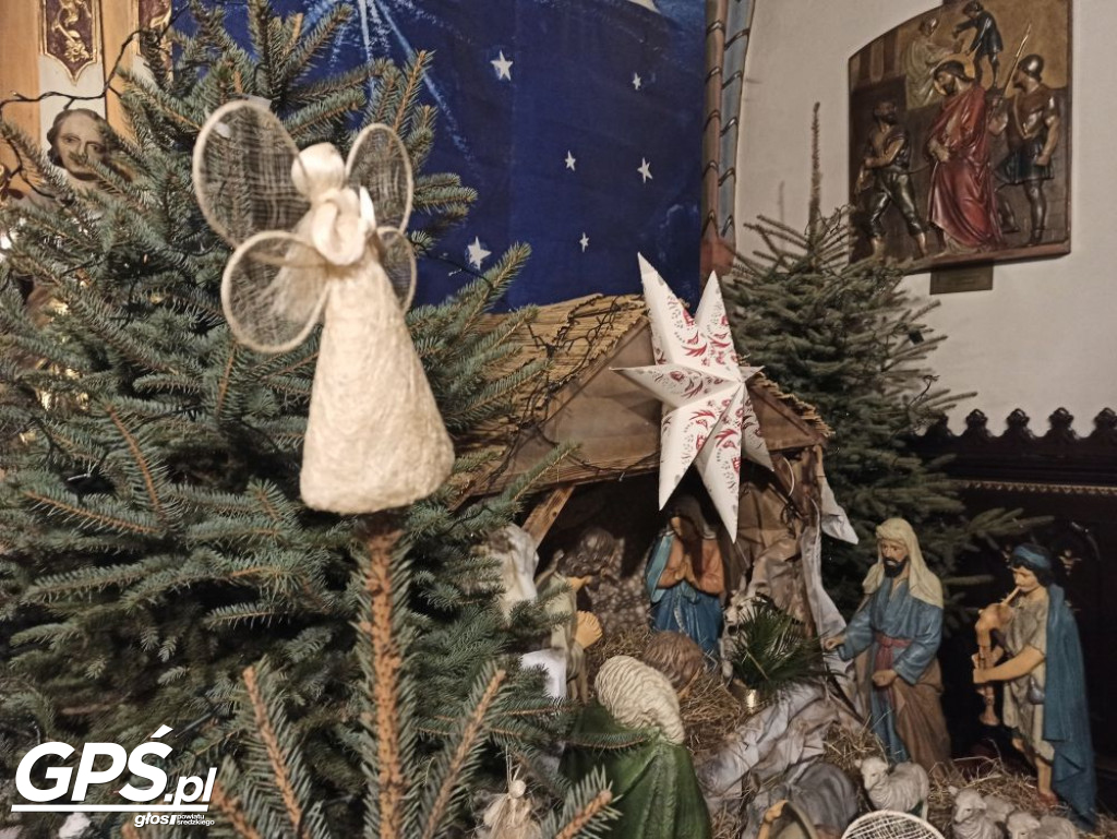 Szopka Bożonarodzeniowa w średzkiej Kolegiacie