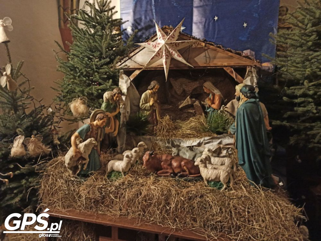 Szopka Bożonarodzeniowa w średzkiej Kolegiacie