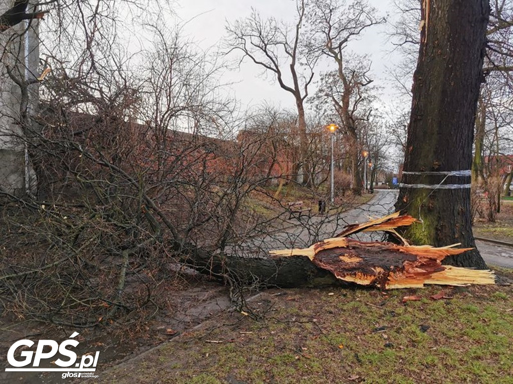 Niszczycielska siła wiatru!