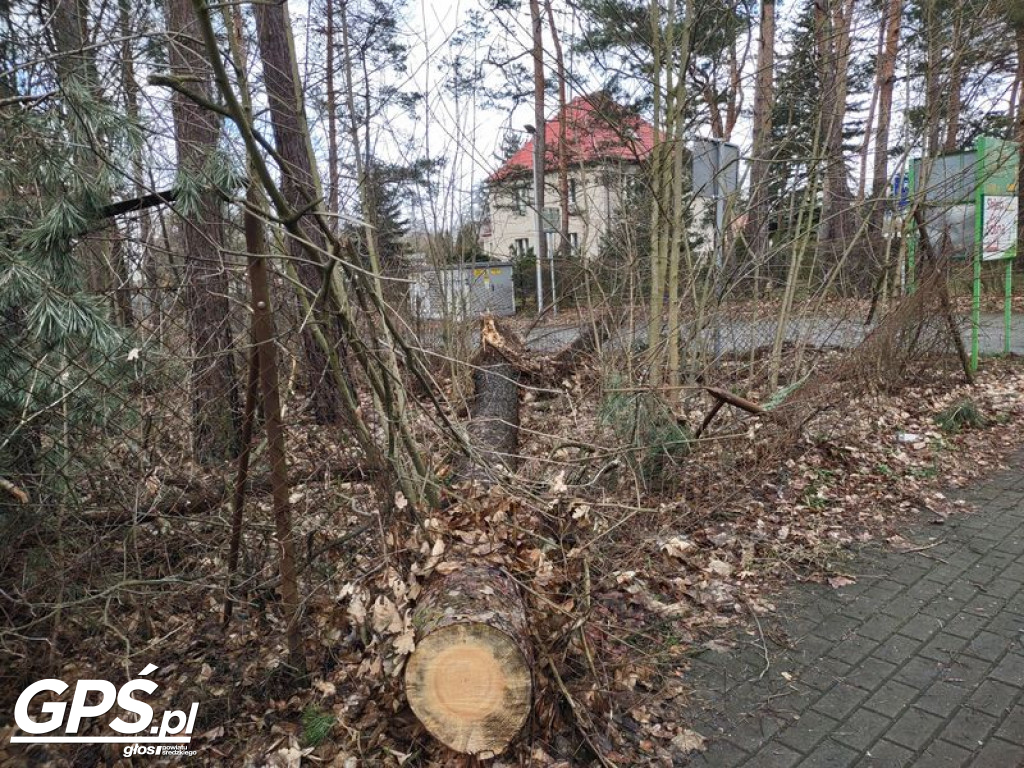 Niszczycielska siła wiatru!