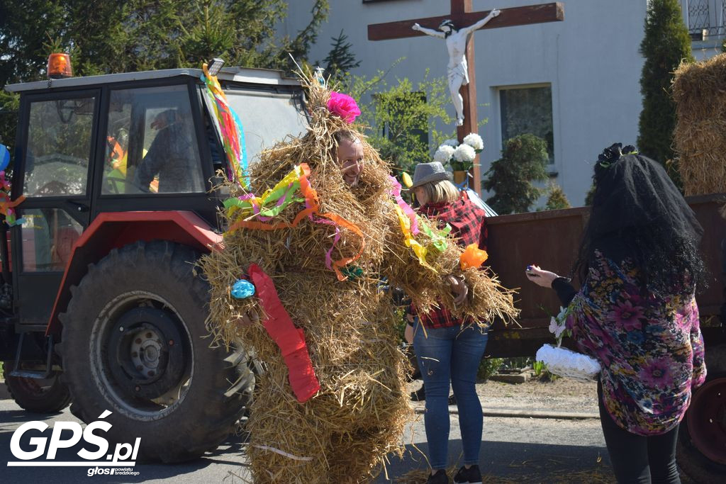 Korowód Siwka w Winnej Górze
