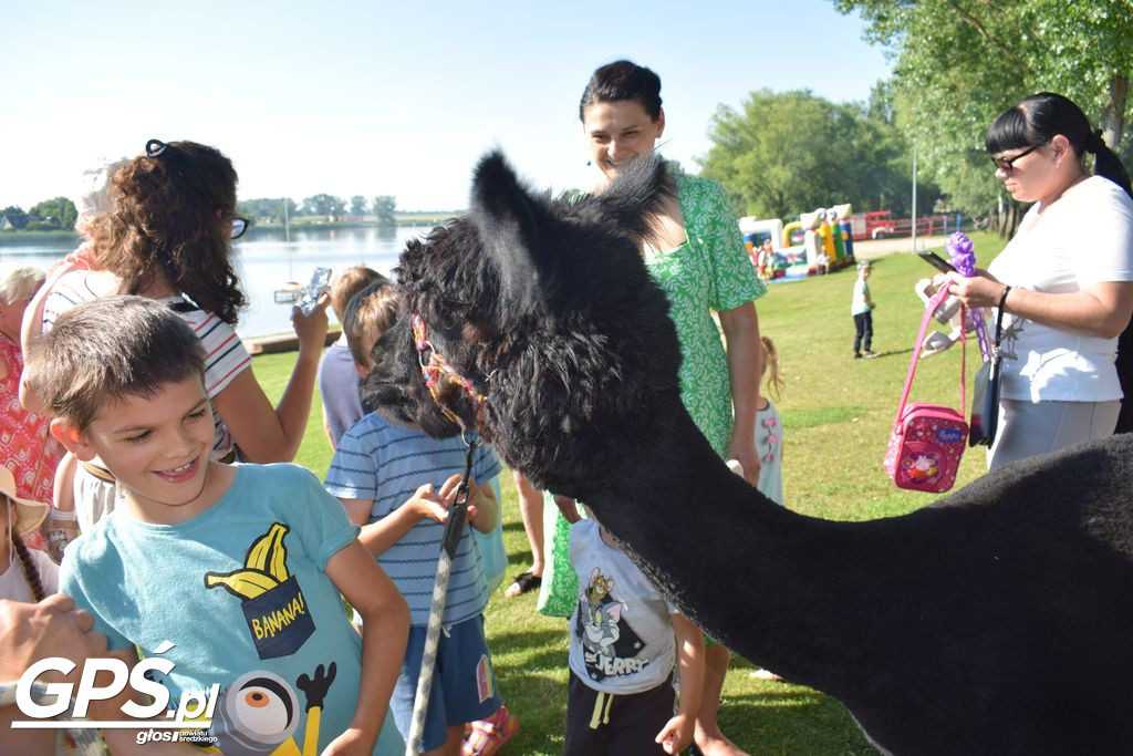 Piknik Rodzinny 