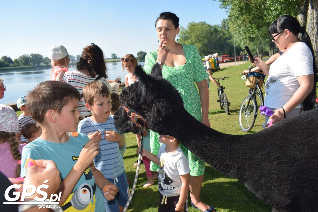 Piknik Rodzinny 