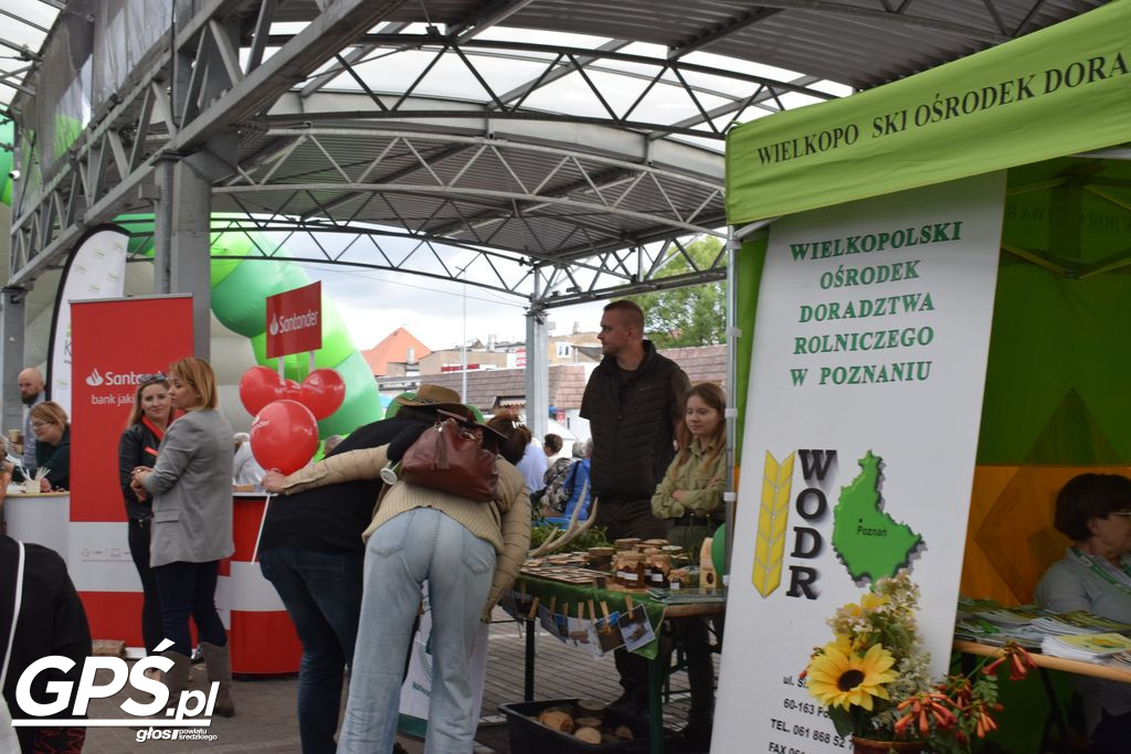 Piknik z Produktem Polskim w Środzie Wlkp.
