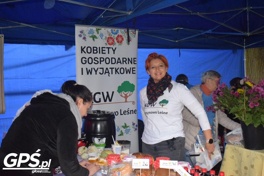 III Festiwal Dyni w Borowie