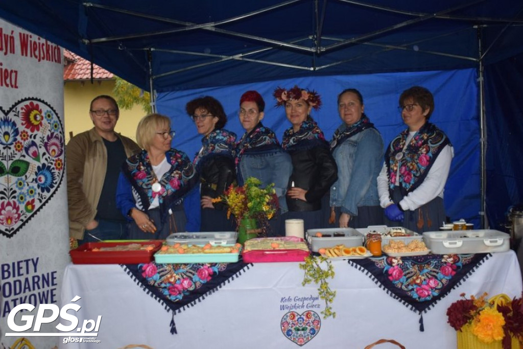 III Festiwal Dyni w Borowie