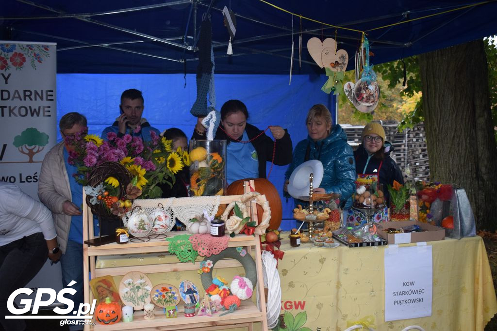 III Festiwal Dyni w Borowie