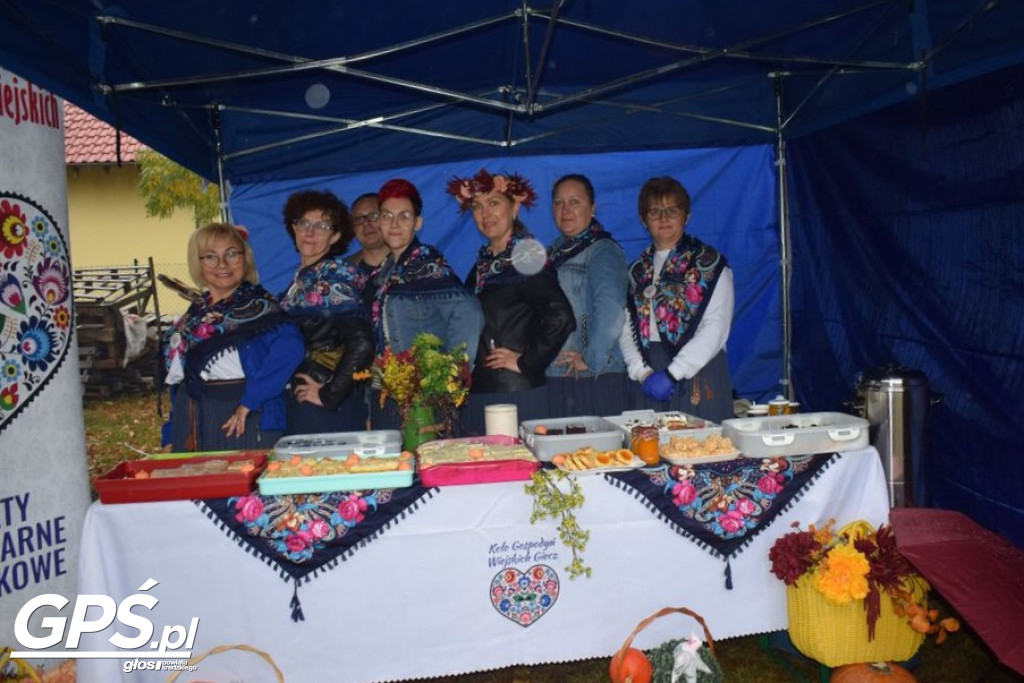 III Festiwal Dyni w Borowie