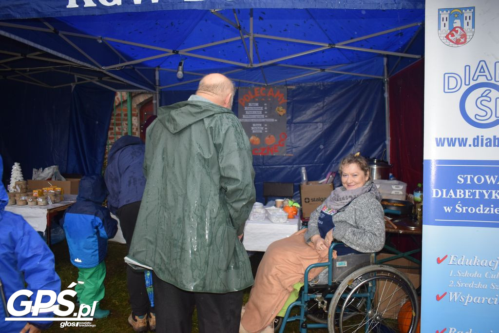 III Festiwal Dyni w Borowie