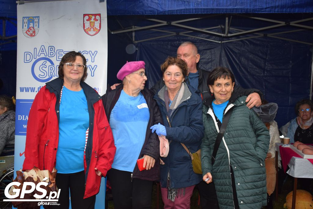 III Festiwal Dyni w Borowie