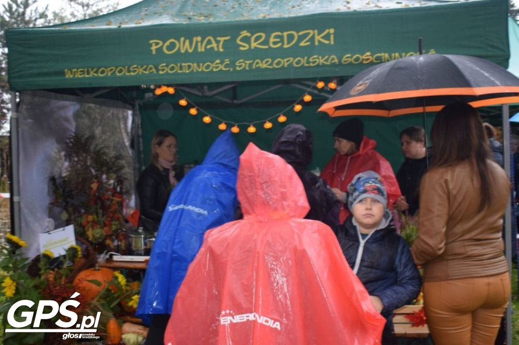 III Festiwal Dyni w Borowie