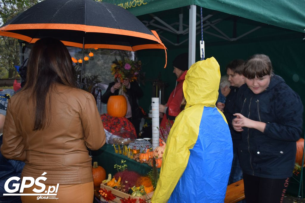 III Festiwal Dyni w Borowie