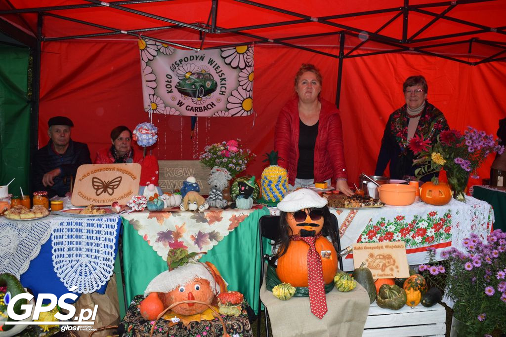 III Festiwal Dyni w Borowie