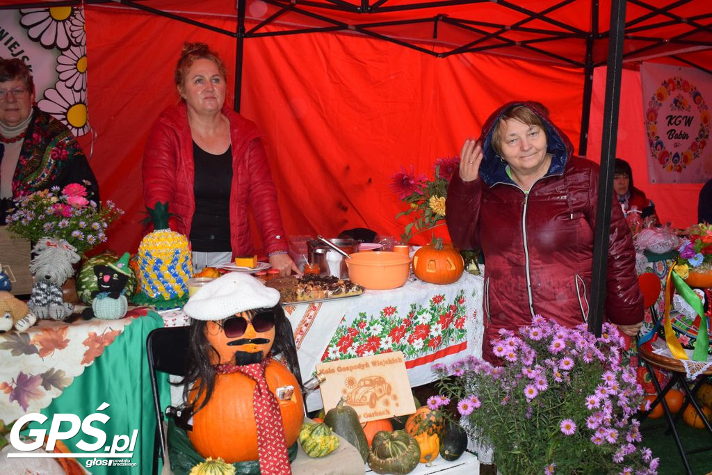 III Festiwal Dyni w Borowie