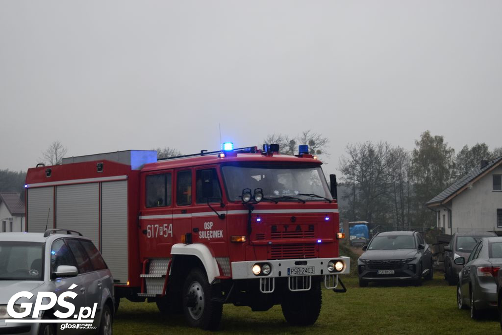 III Festiwal Dyni w Borowie