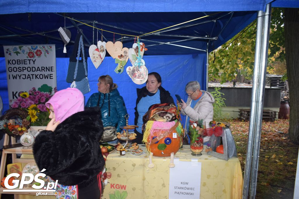 III Festiwal Dyni w Borowie