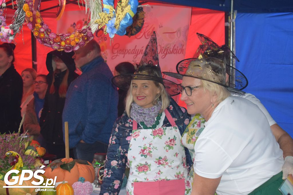 III Festiwal Dyni w Borowie