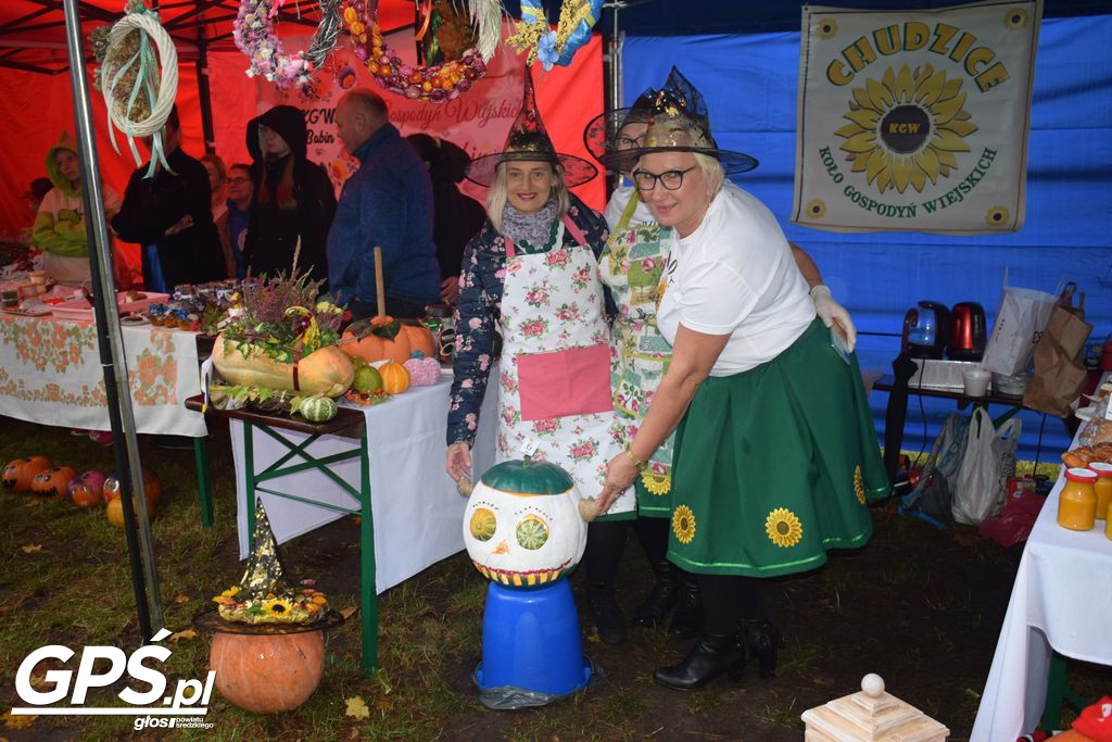 III Festiwal Dyni w Borowie