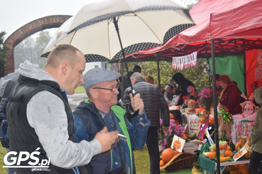 III Festiwal Dyni w Borowie