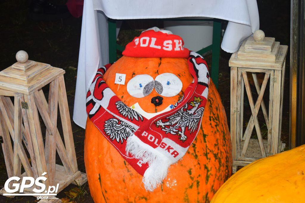 III Festiwal Dyni w Borowie
