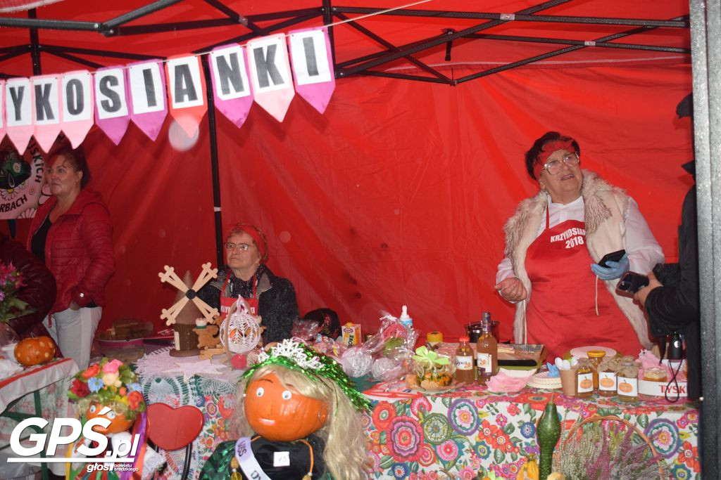 III Festiwal Dyni w Borowie