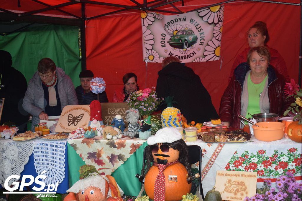 III Festiwal Dyni w Borowie
