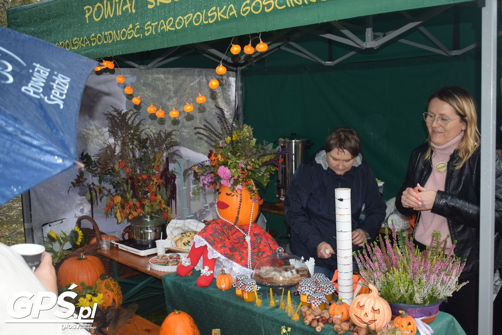 III Festiwal Dyni w Borowie