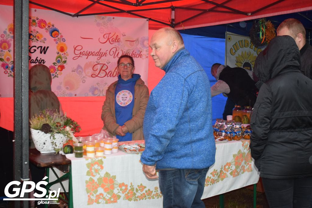 III Festiwal Dyni w Borowie