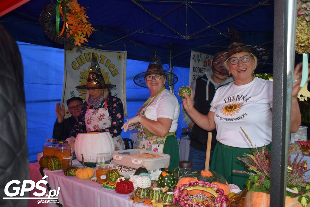 III Festiwal Dyni w Borowie