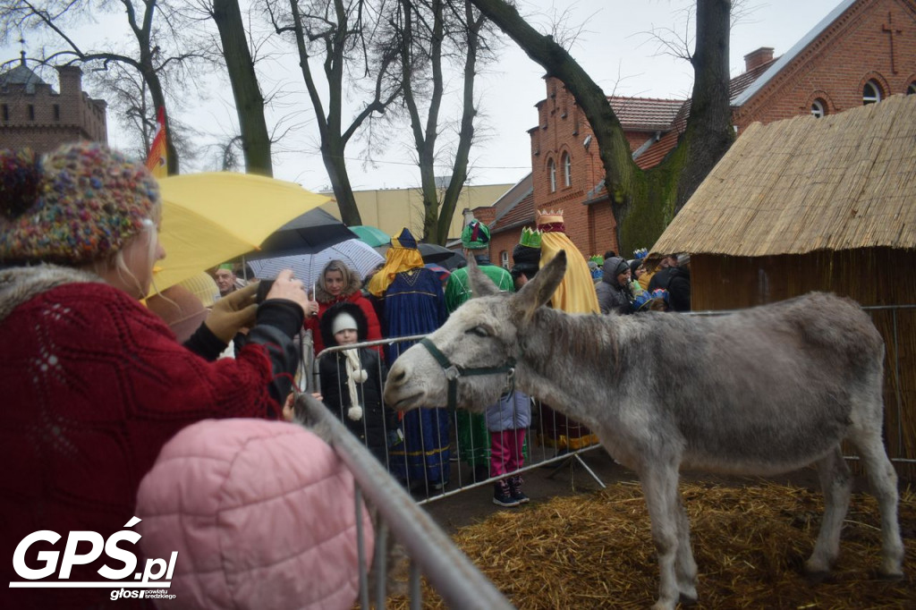 Orszak Trzech Króli w Środzie