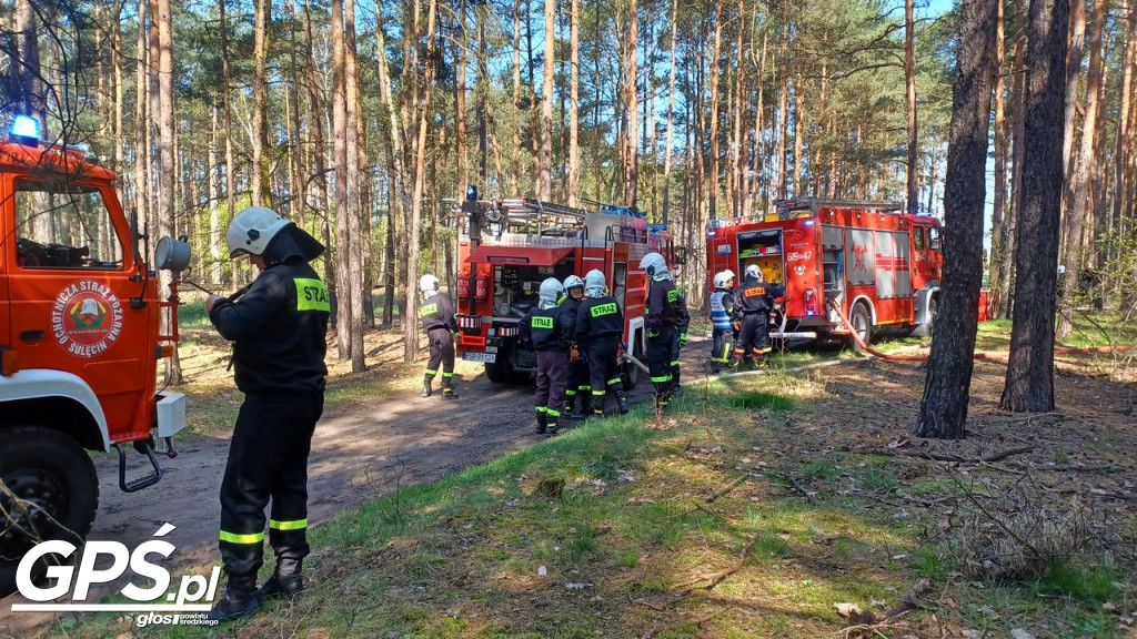 Ćwiczenia strażaków w Rogusku