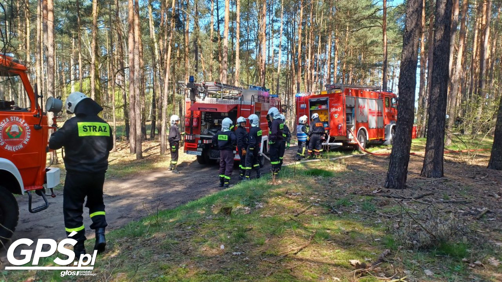 Ćwiczenia strażaków w Rogusku