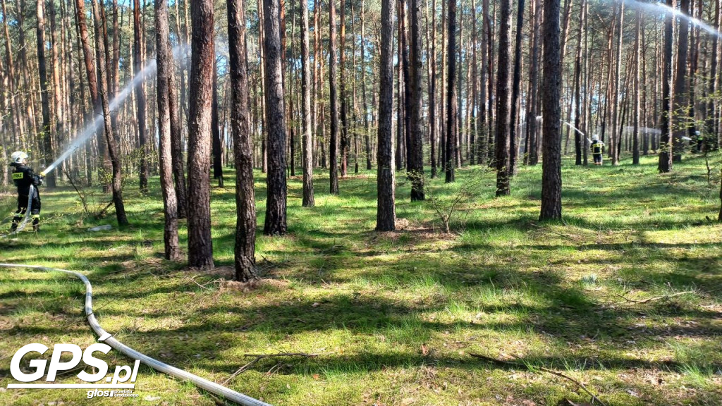 Ćwiczenia strażaków w Rogusku