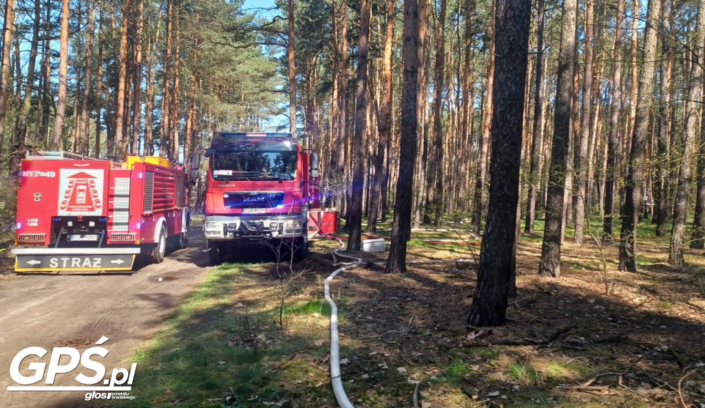 Ćwiczenia strażaków w Rogusku
