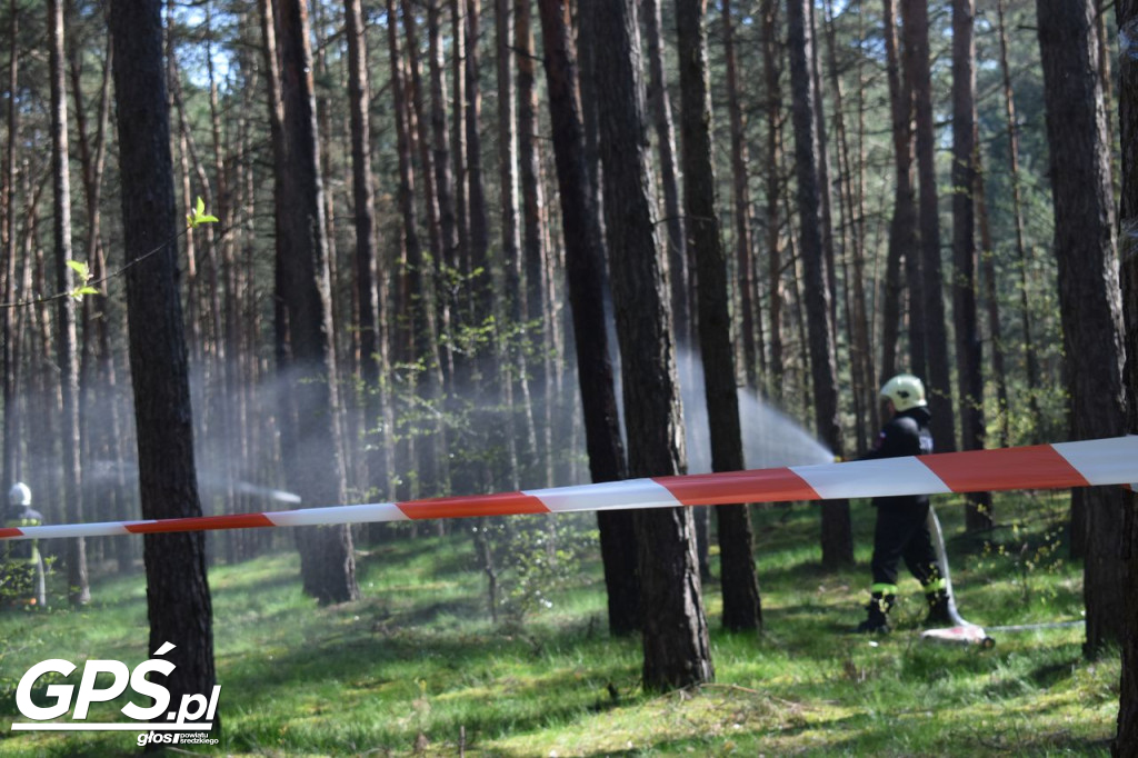 Ćwiczenia strażaków w Rogusku